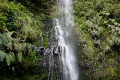 Tai-Chi-Zuerich-Wasserfall Madeira